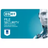 ESET File Security pour Microsoft Windows Server ESET File Security pour Microsoft Windows Server