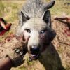 Far Cry Primal vue