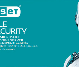 ESET File Security pour Microsoft Windows Server