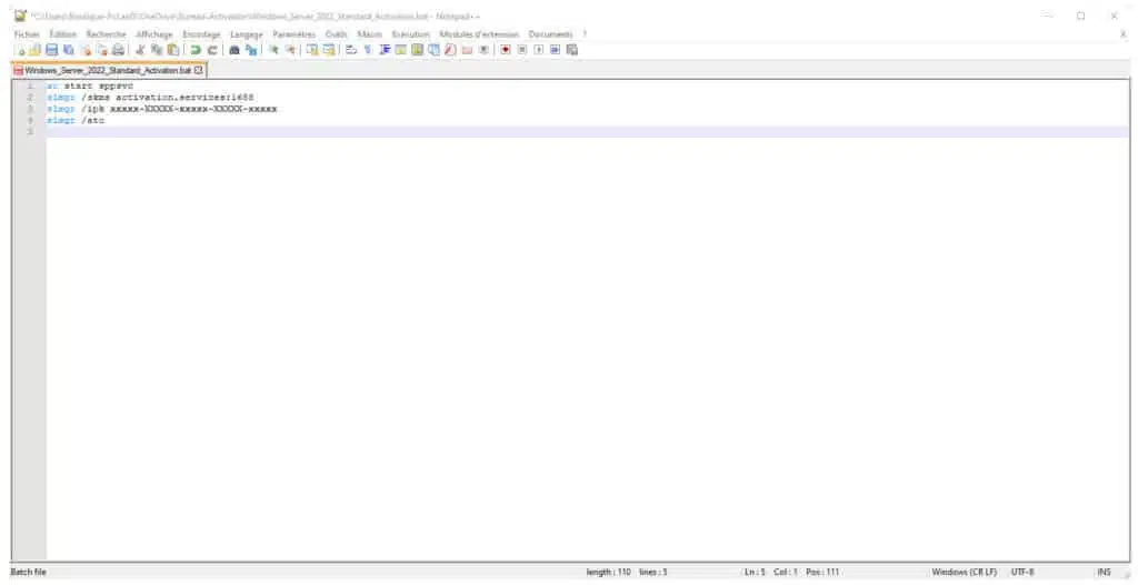 Windows_Server_2022_Standard_Activation.bat