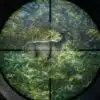 The Hunter: Call of the Wild