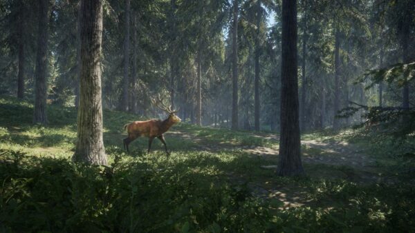 The Hunter: Call of the Wild – Image 2