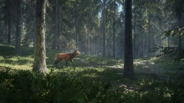 The Hunter: Call of the Wild – Image 2