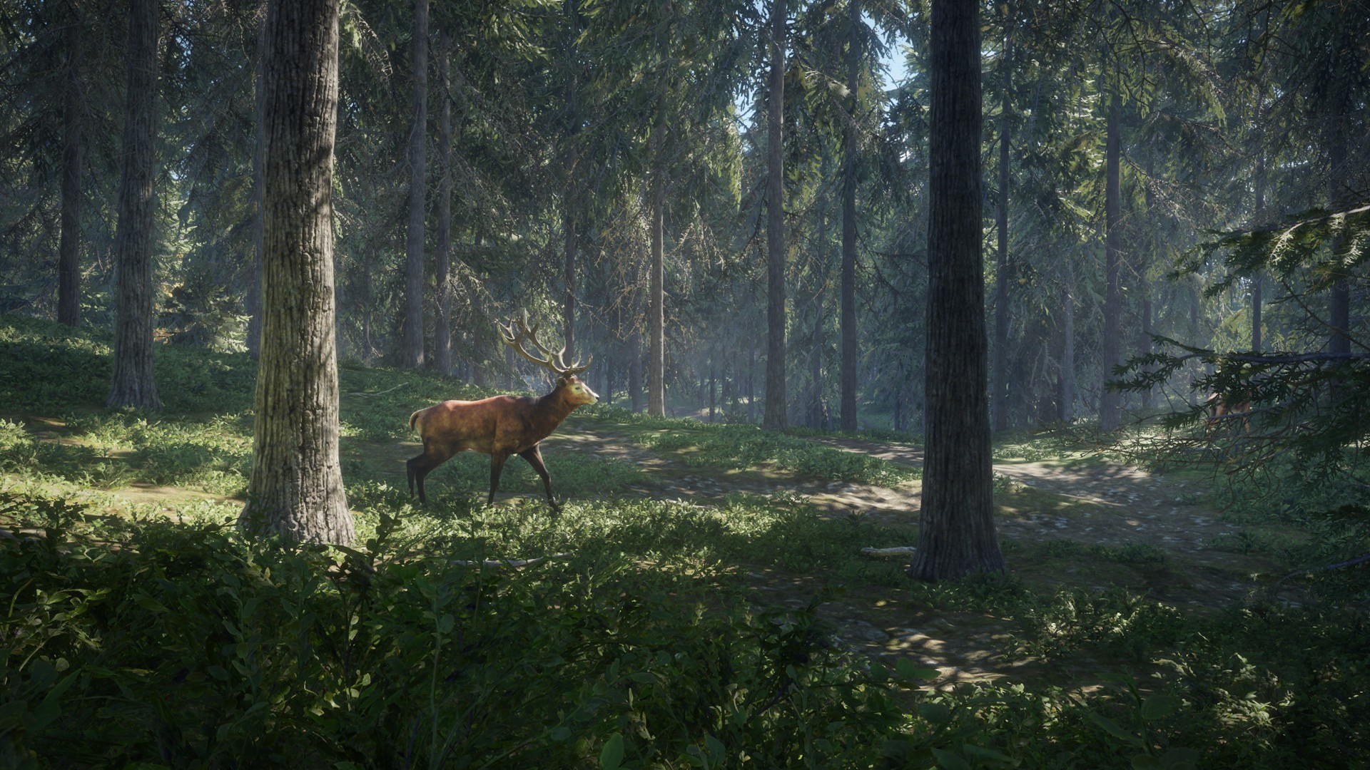 hunter call of the wild pc hunter call of the wild pc
